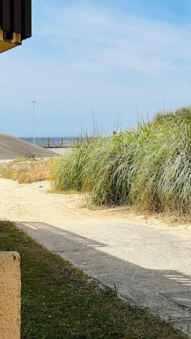 Appartement 2 A 4 Personnes A 50M De La Plage Лакано Экстерьер фото